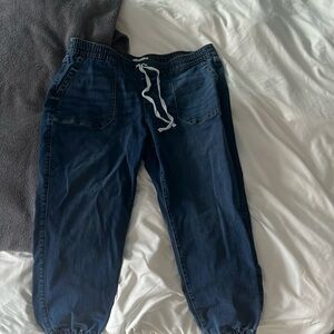 Lane Bryant joggers